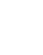 Indonesian Film Festival
